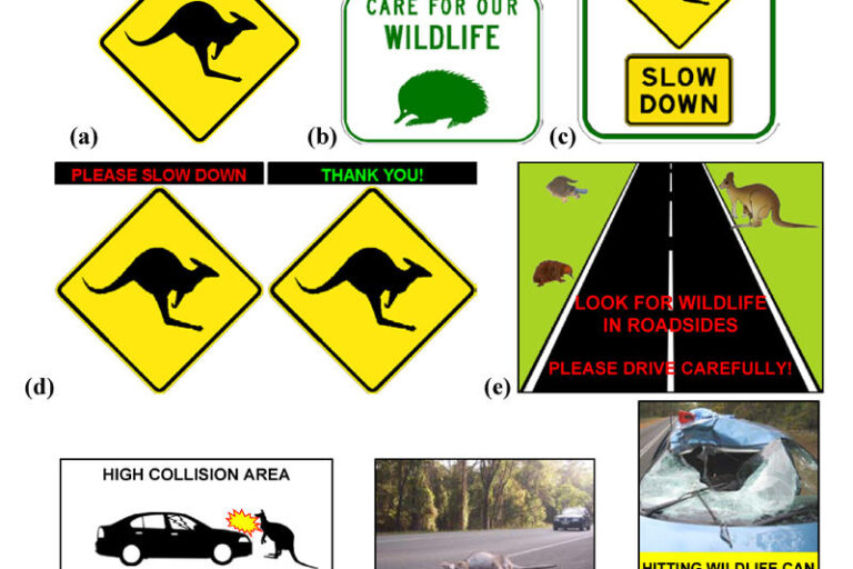 No Smoking Traffic Safety Sign Board