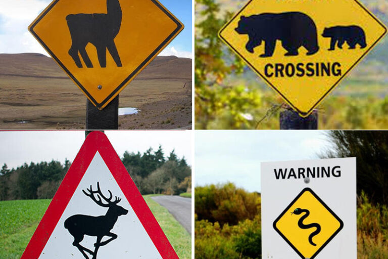 No Smoking Traffic Safety Sign Board