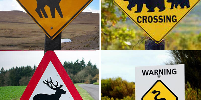 No Smoking Traffic Safety Sign Board