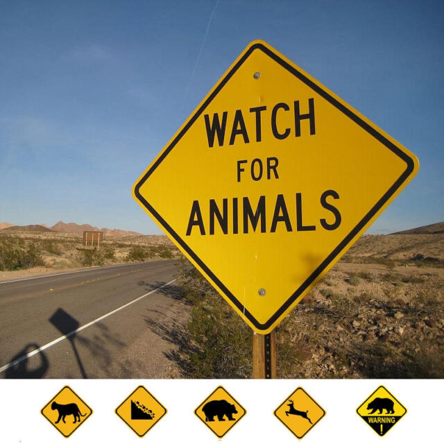 Custom 14×10 Inch PVC Aluminum No Smoking Warning Sign (5) No Smoking Traffic Safety Sign Board