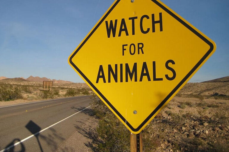 No Smoking Traffic Safety Sign Board